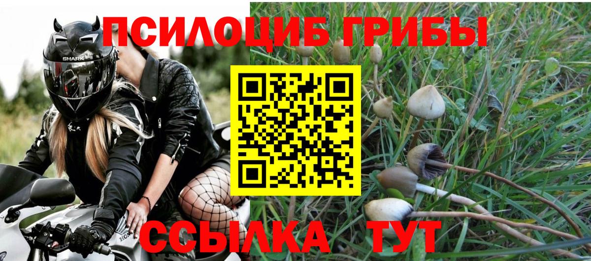 Галлюциногенные грибы мухоморы Дмитров