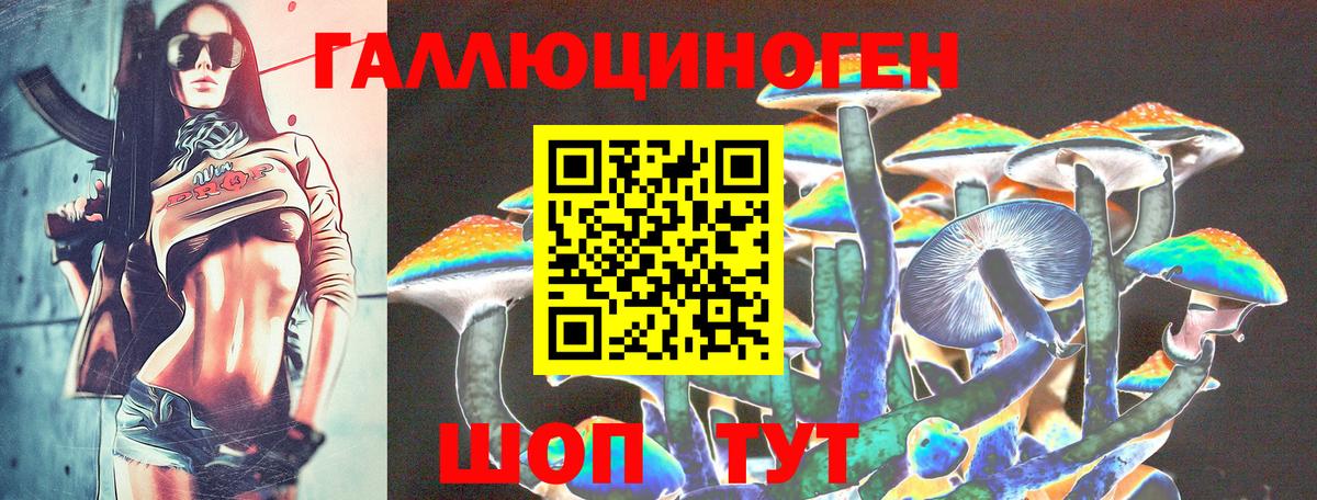 цены наркотик  Вход с VPN  Дмитров  Псилоцибиновые грибы Psilocybe 